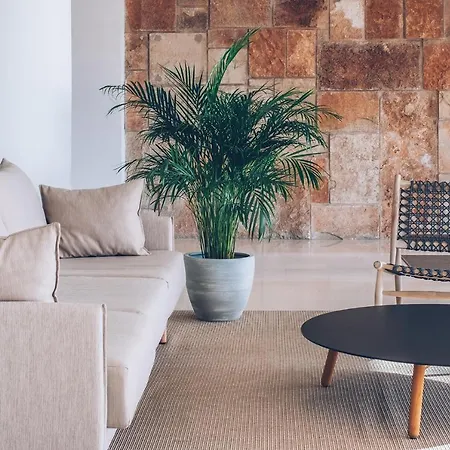 Hotell Aya Seahotel - Adults Only 4*